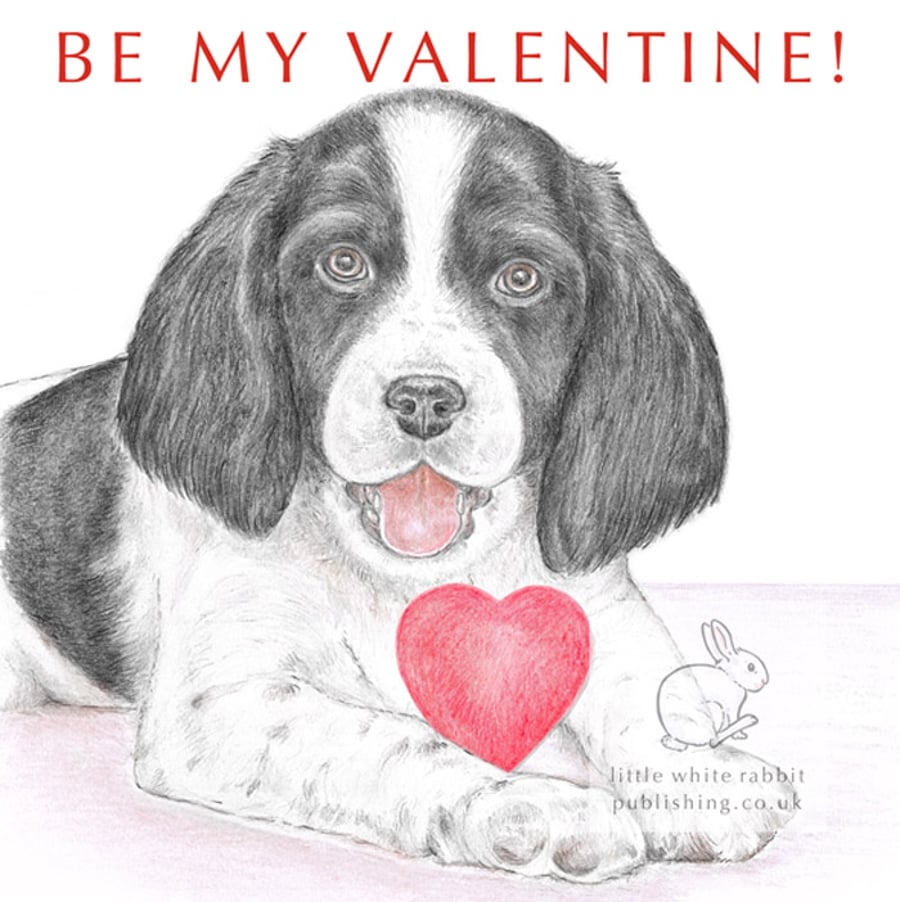 Sally the Springer Spaniel - Valentine Card