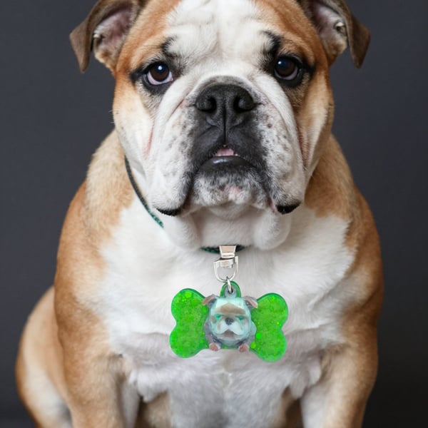 Dog collar tags 