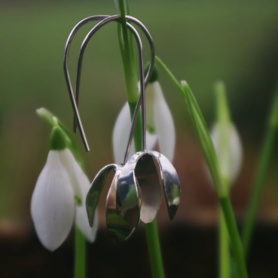 Silver Snowdrop  Earrings 
