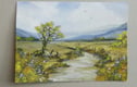Paintings