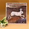 Greetings Card, Bunny Rabbit running, Blank for your own message. 
