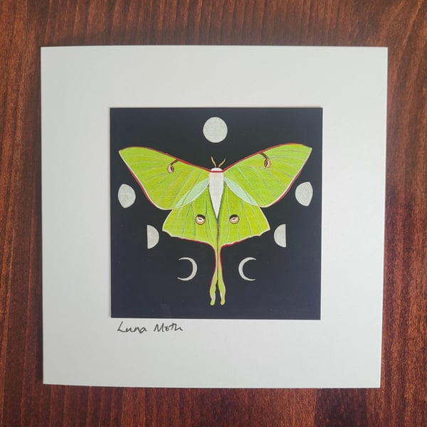 Luna Moth Card