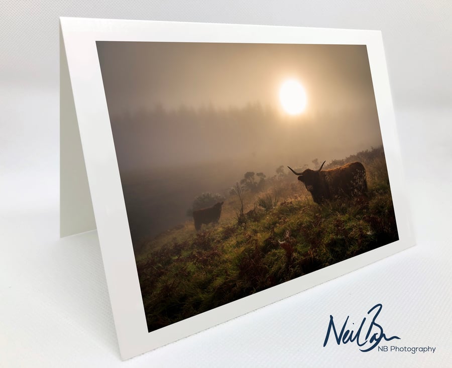 Highland Cow and Calf - Scotland Greeting Card by Neil Barr