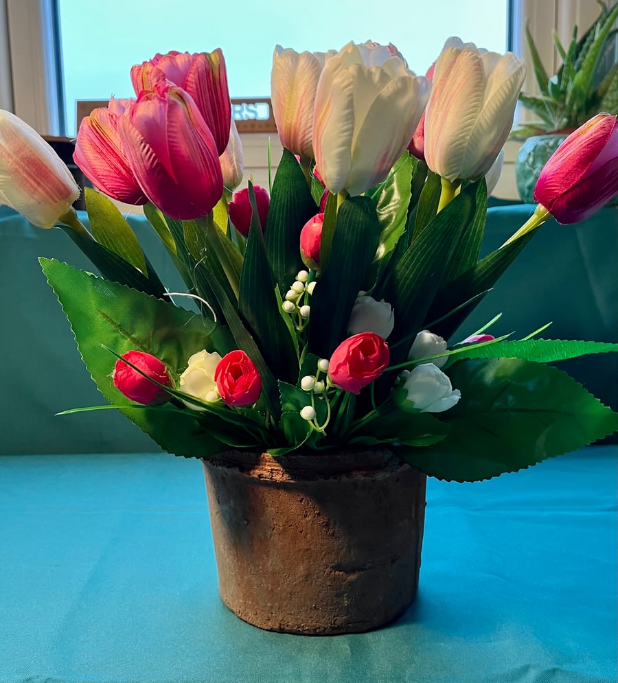 Pink and white tulips in a terracotta pot
