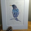 A4 Limited Edition signed Art Print - Starling