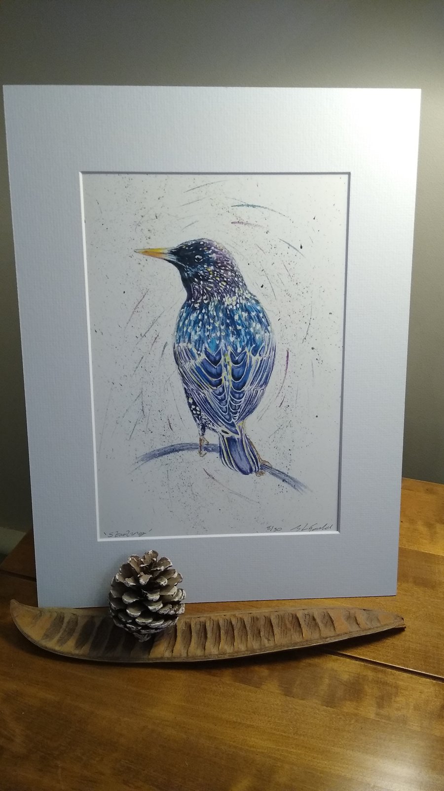 A4 Limited Edition signed Art Print - Starling