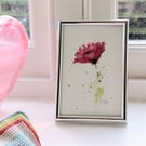 Frilly Red Rose, A6 framed watercolour painting 