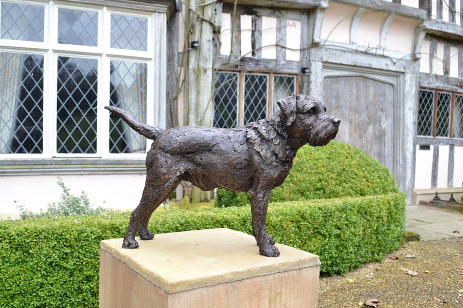 Standing Border Terrier Dog Statue Large Bronze Resin Sculpture 