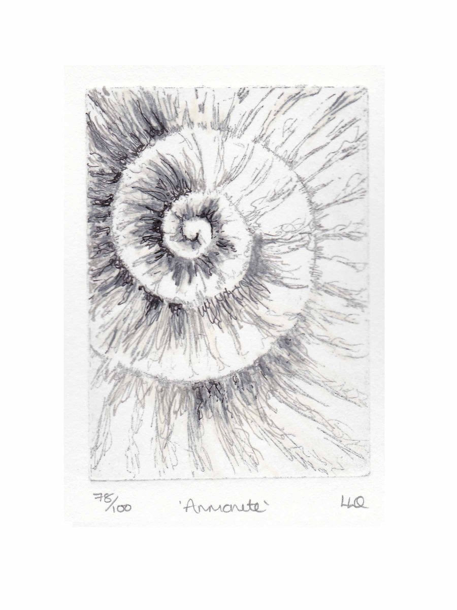 Etching no.78 of an ammonite fossil with mixed media in an edition of 100