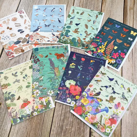 Pack of 8 - 'British Nature Guide' Collection of Note Cards