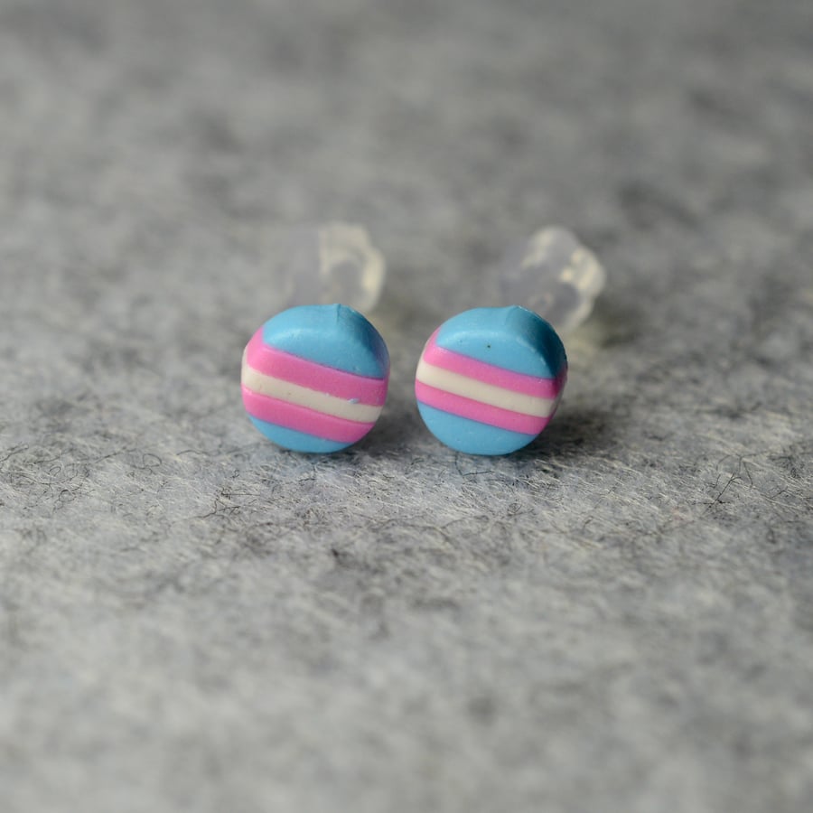 Small Transexual Pride Earrings 