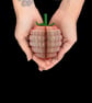 Personalised Raspberry Book Gift - Image 6