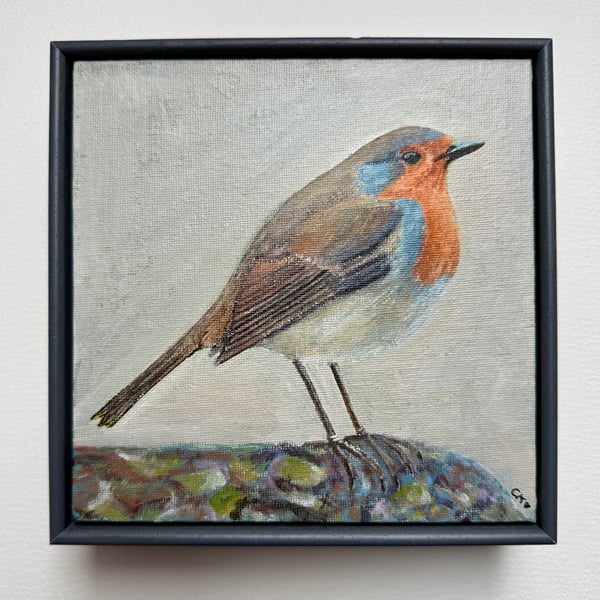 Robin Original Art