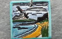 Coastal and marine wildlife