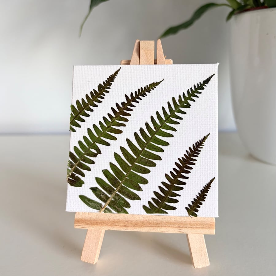 Real Pressed Ferns Mini Canvas on Wooden Easel, Botanical Art