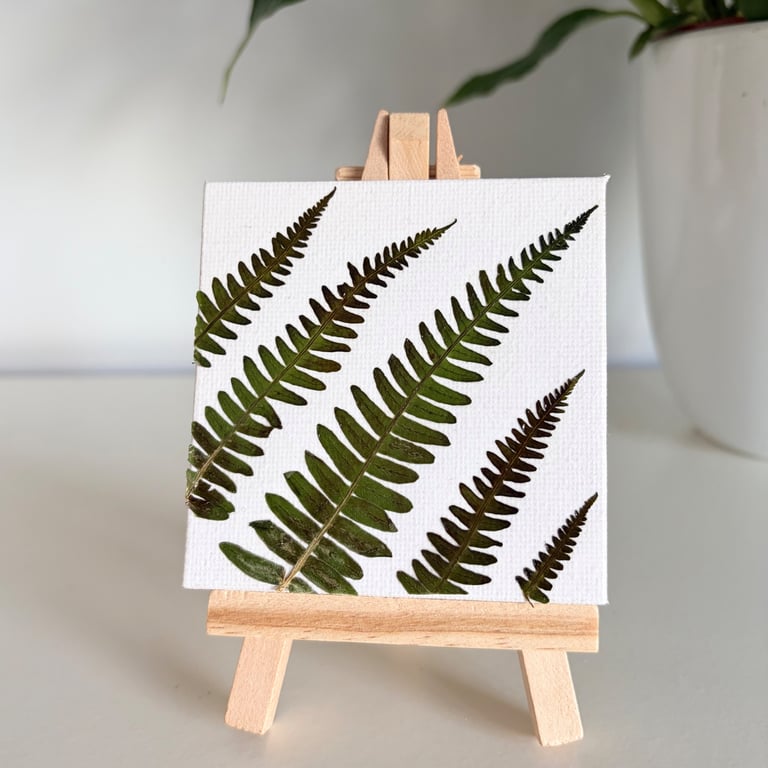 Real Pressed Ferns Mini Canvas on Wooden Easel, Botanical Art