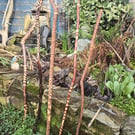 Hand carved walking sticks canes