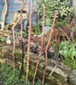Hand carved walking sticks canes