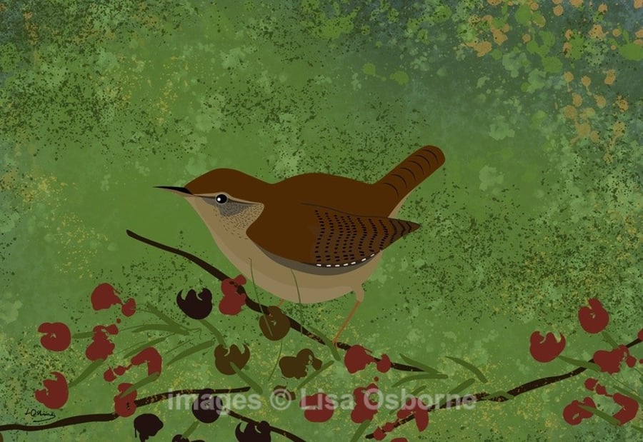 Wren - print from my digital illustration. Garden birds.