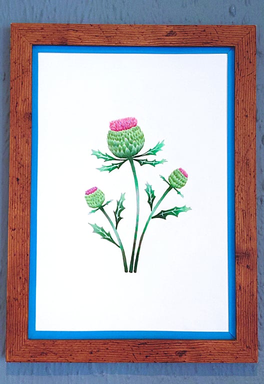 A3 Size Framed Print Painting Scottish Thistles Flowers Blue Border Wallart 