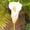 Crochet Calla Lily 