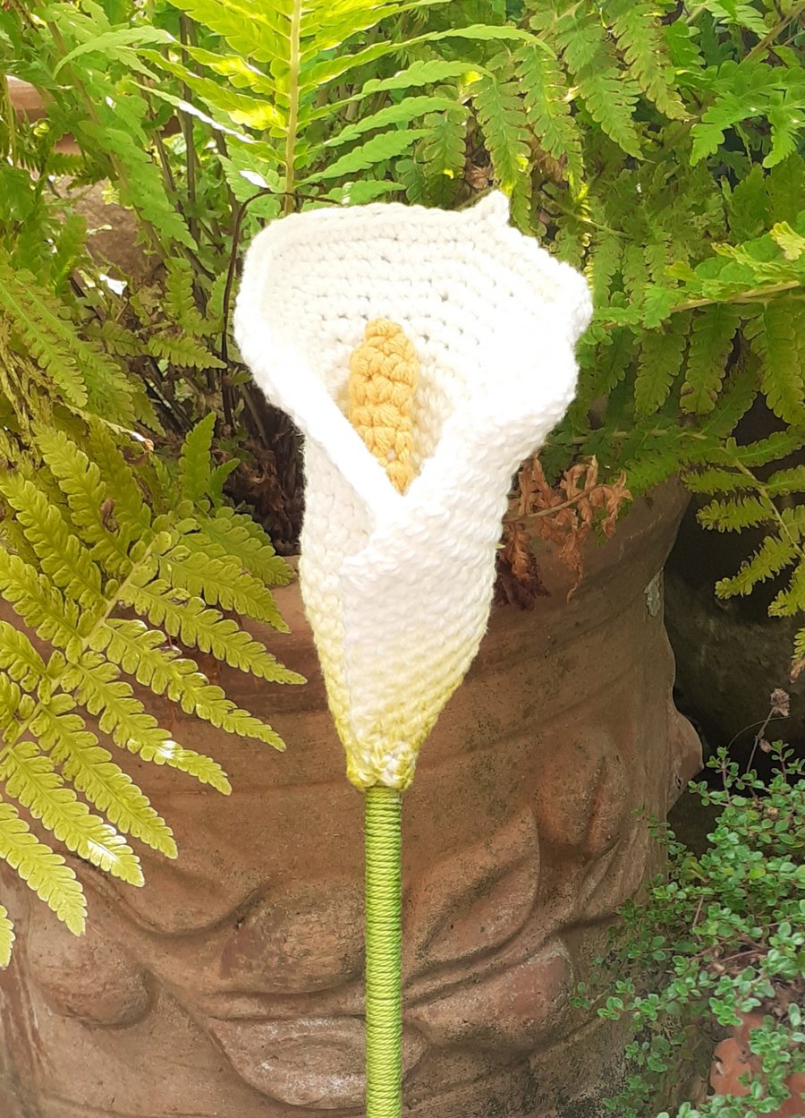 Crochet Calla Lily 