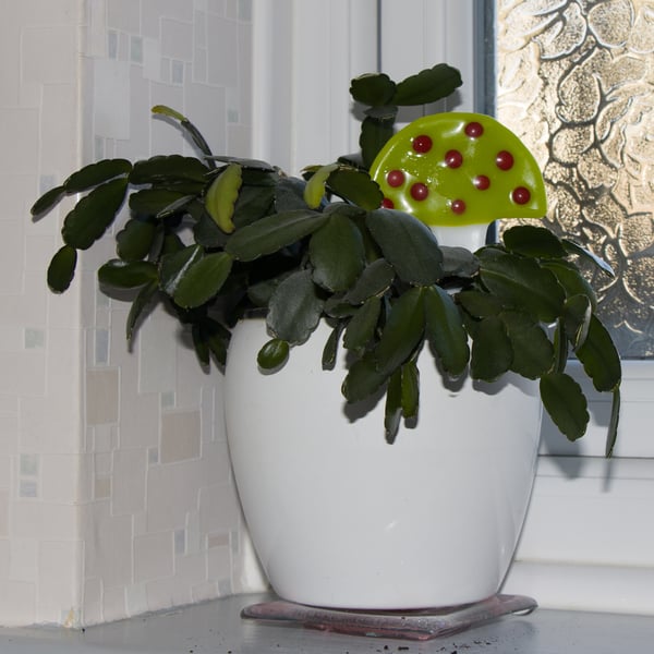 Green Pot Toadstool with Red Spots - 3201-06