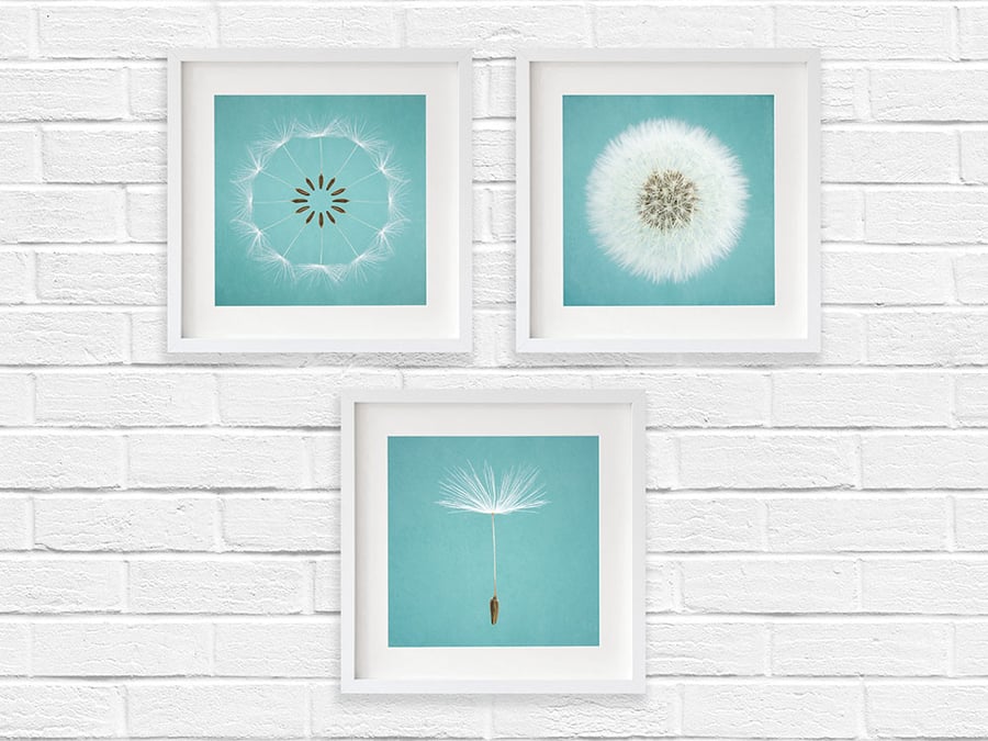 Deconstructed dandelion clock, Duck egg blue set of three large dandelion prints