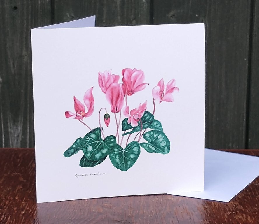Cyclamen greetings card