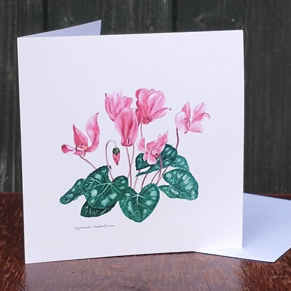 Cyclamen greetings card
