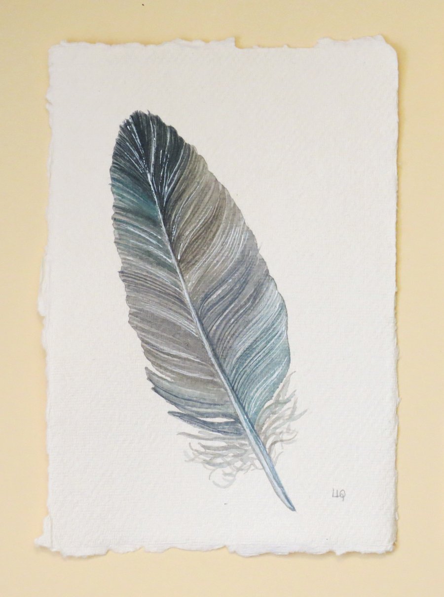 Original watercolour feather painting illustration