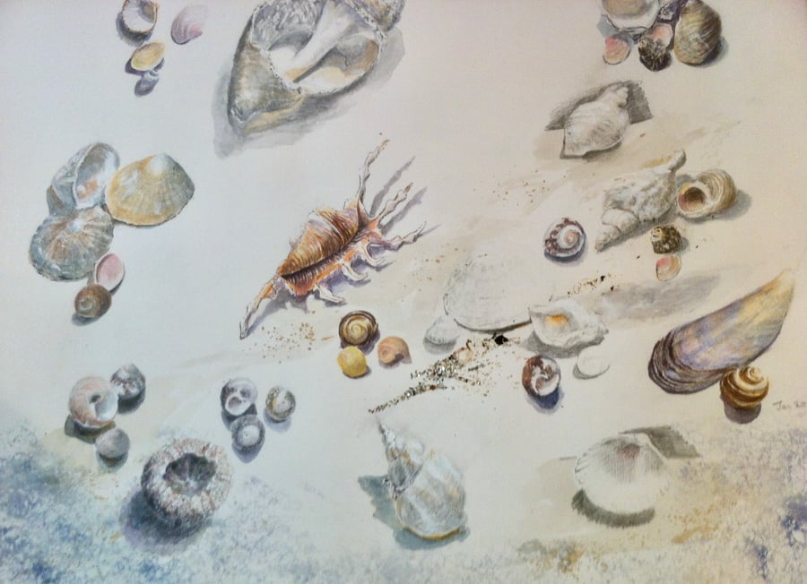 The Sea Thrift Studio