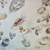 The Sea Thrift Studio