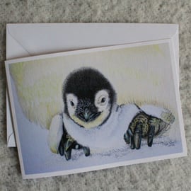 Pack of 10 beautifully drawn penguin chick blank greetings cards.