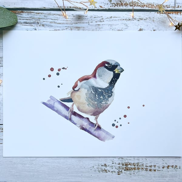 House sparrow on a branch print