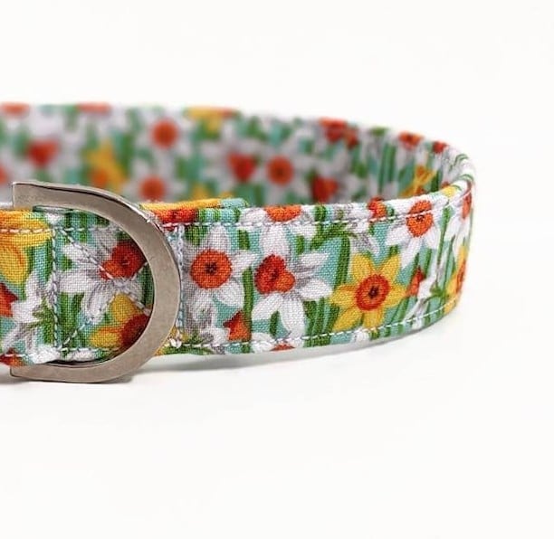 Welsh Daffodil Dog Collar, Dog Lead, Girl Dog Collar