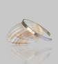 Elegant Silver Cuff Bangle