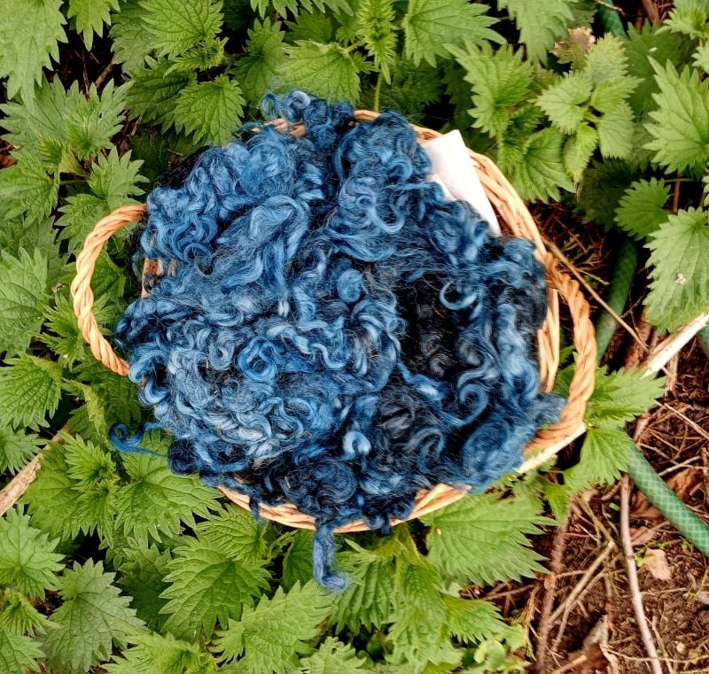 Peacock Gotland fleece 50g