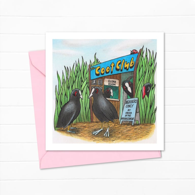 Funny Birds Greeting Card: Cute Hand Drawn Coots and Moorhen Illustration (222)