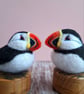 Mini Puffins - Image 2
