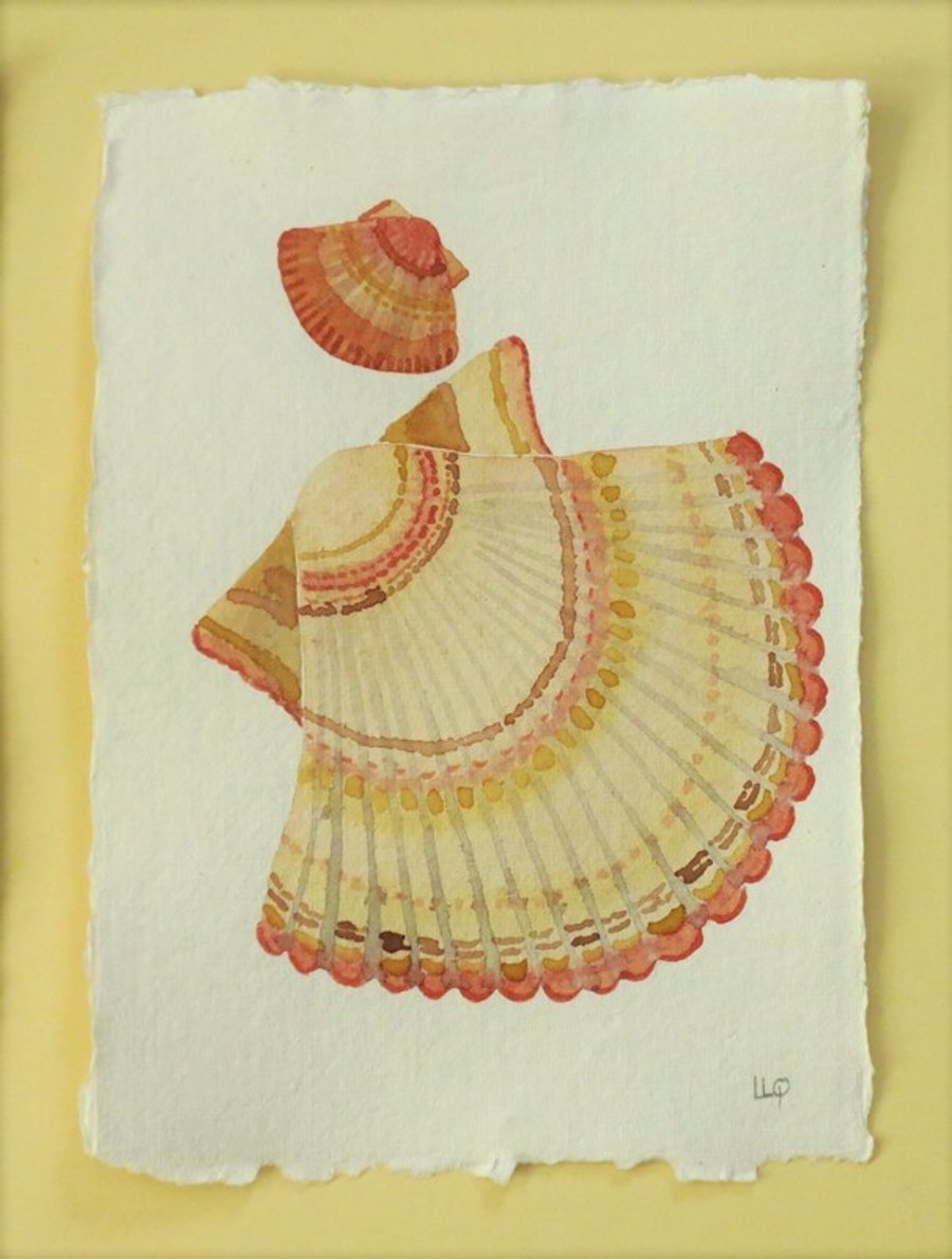 Original watercolour scallop shell painting