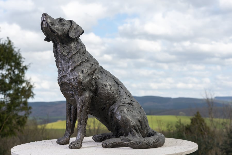 Labrador Looking Up Dog Statue Large Bronze Resin Garden Sculpture