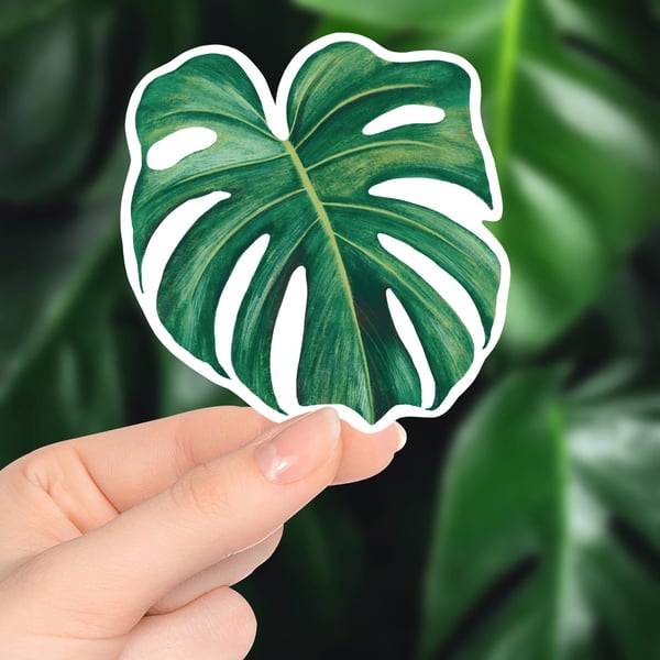 Monstera Leaf Sticker