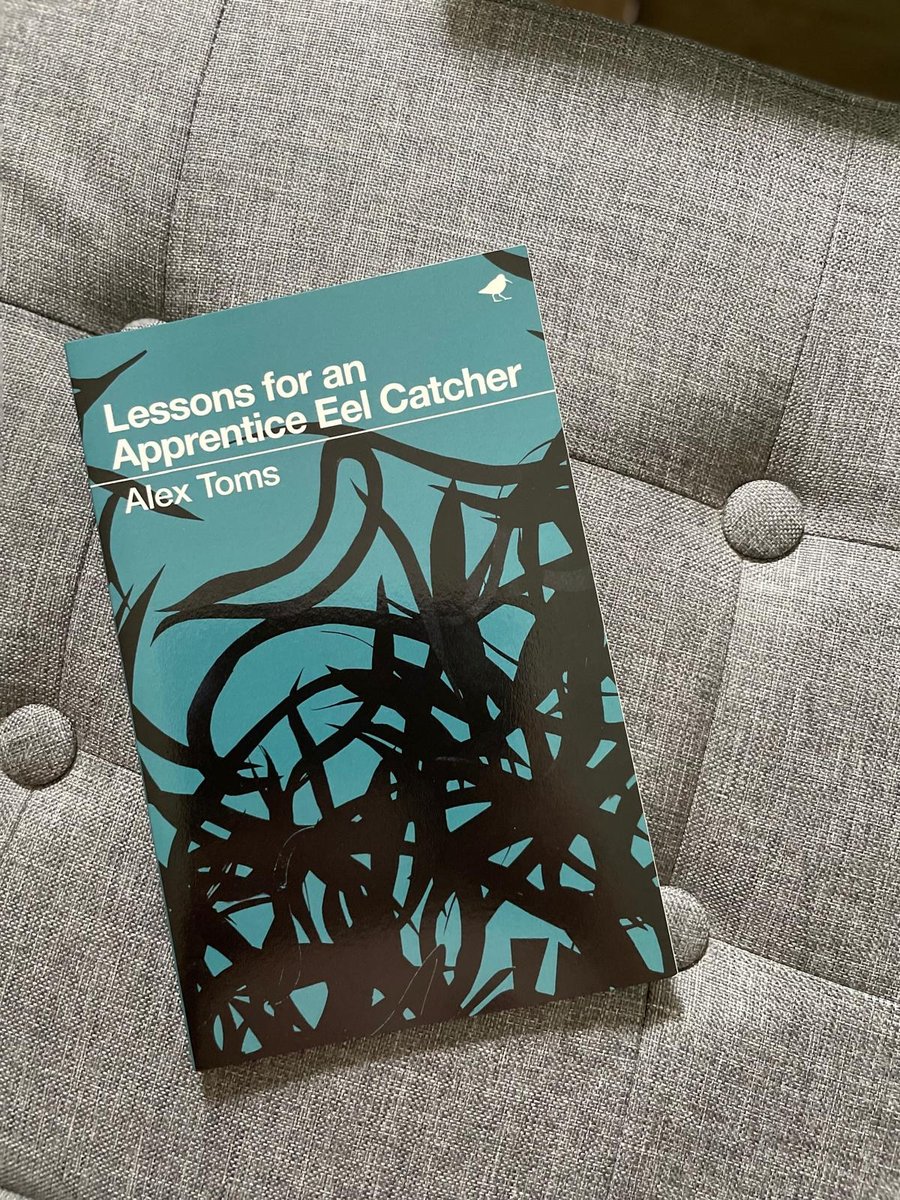 Lessons for an Apprentice Eel Catcher 