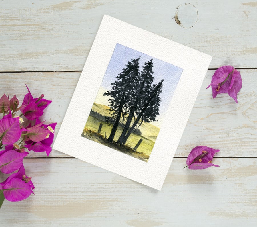  Original Watercolour Miniature painting of windswept pine trees