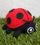 Luna Ladybird Crochet Kit - Image 3