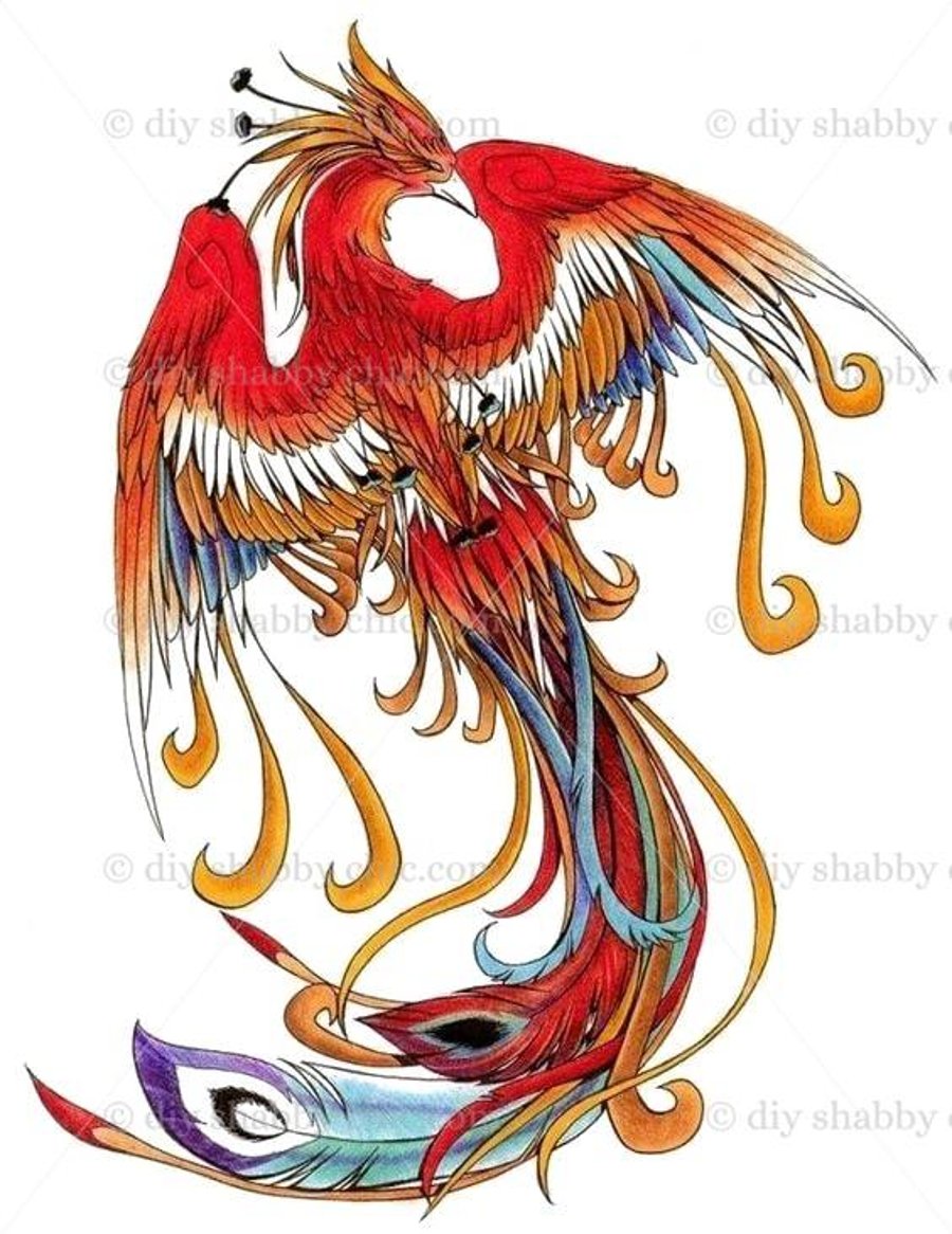 Waterslide Furniture Vintage Image Transfer DIY Shabby Chic Art Red Dragon Bird 