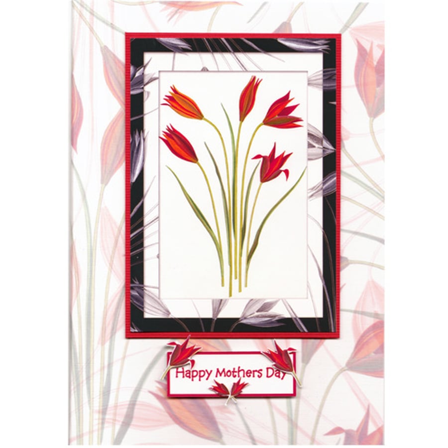 Mother's Day Bouquet of Tulips (MD172)