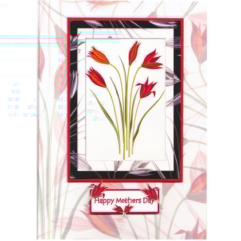 Mother's Day Bouquet of Tulips (MD172)