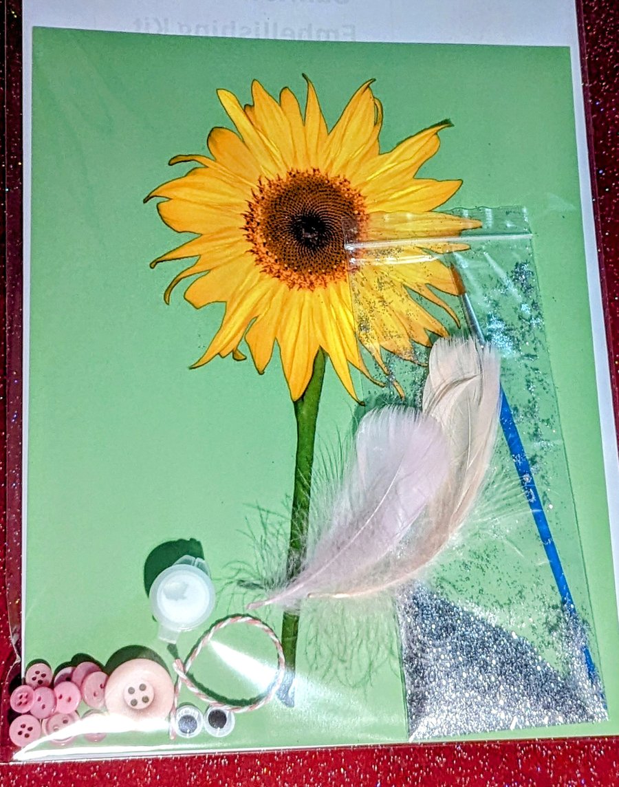 PINK Sunflower Art Print Embellishing Craft Kit Feathers Glitter Buttons